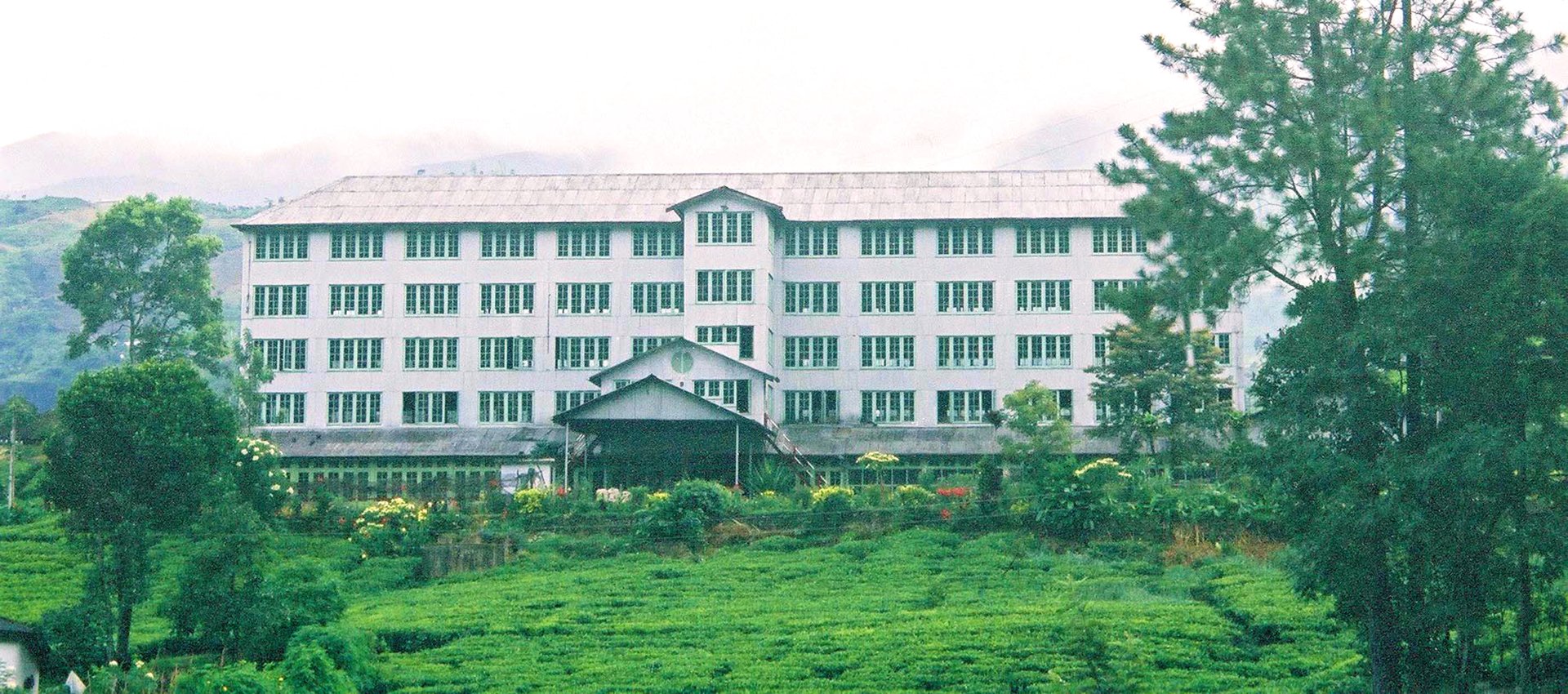 Tea Factory