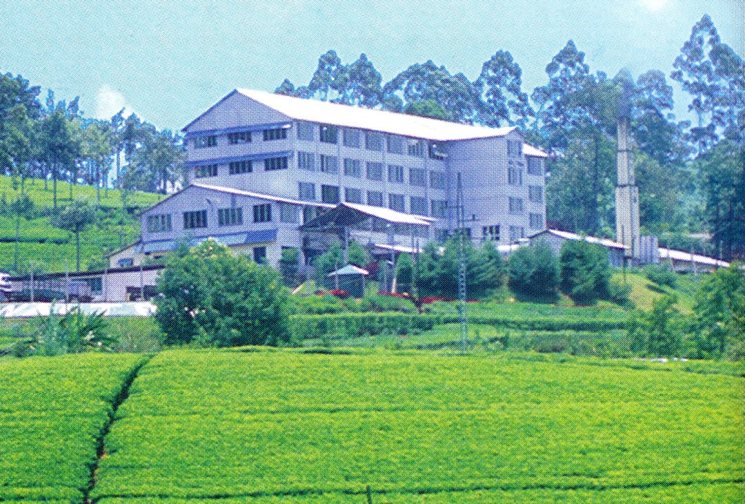 Nuwara Eliya