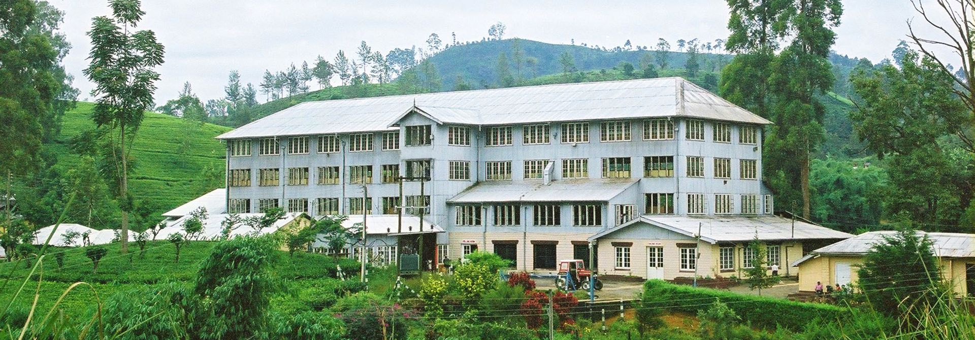 Tea Factory