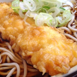 イカ天ソバ