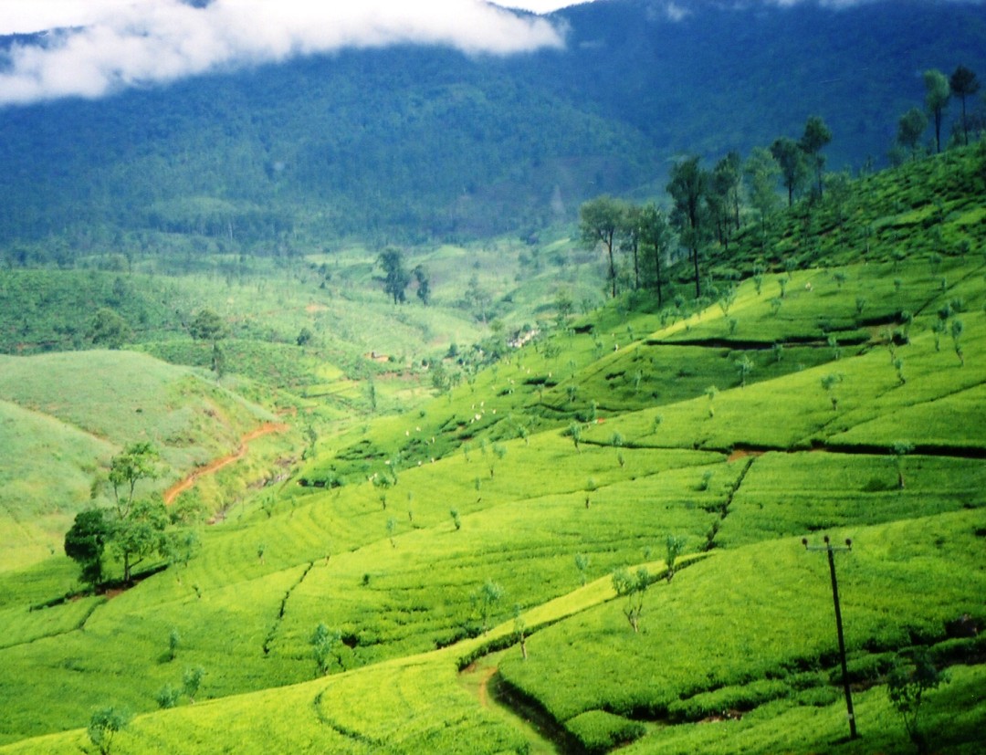 Sabaragamuwa