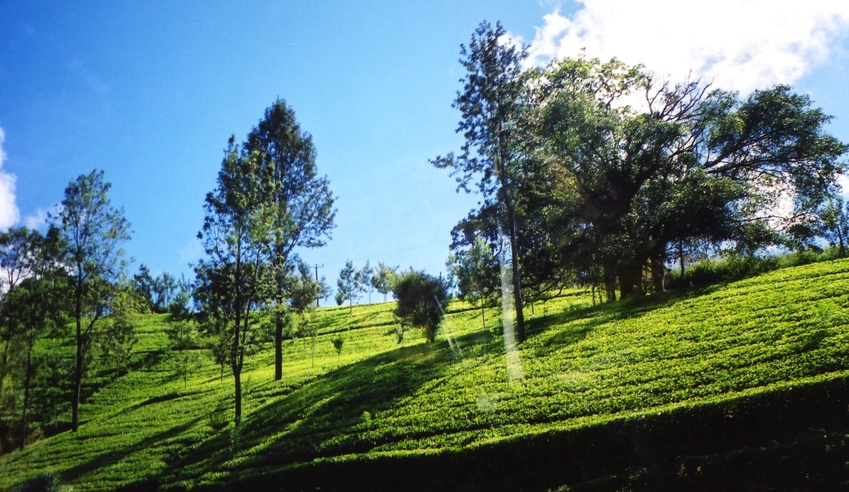 Sabaragamuwa