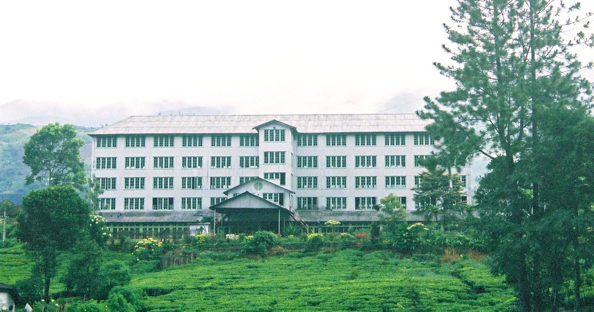 Tea Factory