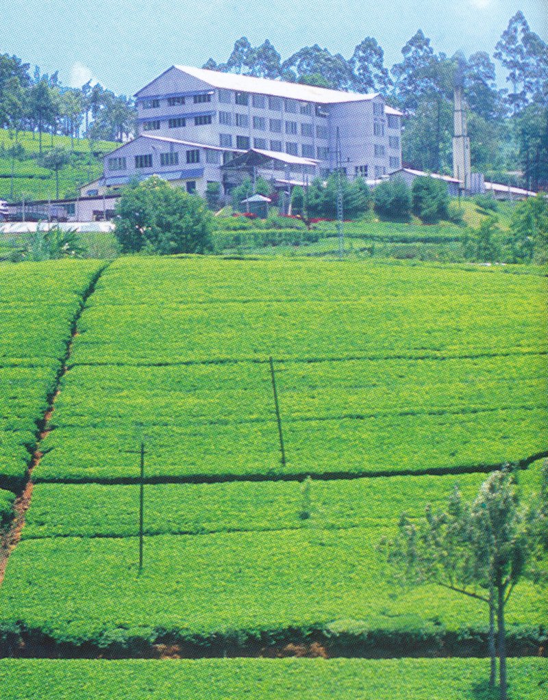 Nuwara Eliya